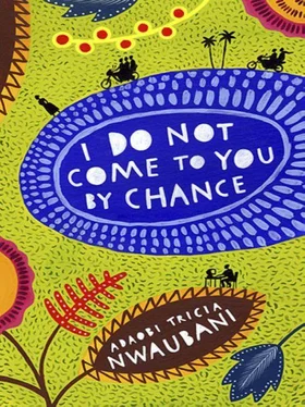 Adaobi Nwaubani I Do Not Come to You by Chance обложка книги