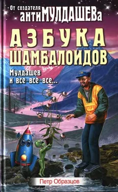 Петр Образцов Азбука Шамболоидов. Мулдашев и все-все-все обложка книги