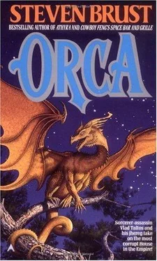 Steven Brust Orca обложка книги