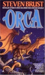 Steven Brust - Orca