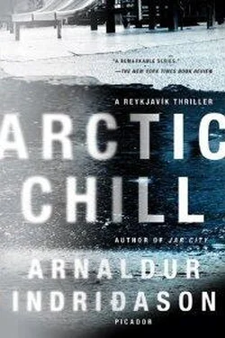 Arnaldur Indridason Arctic Chill обложка книги