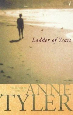 Anne Tyler Ladder of Years обложка книги