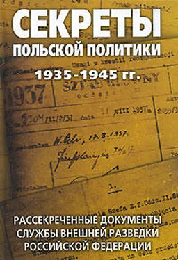 Лев Соцков Секреты польской политики: Сборник документов обложка книги