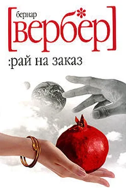 Бернар Вербер Рай на заказ обложка книги