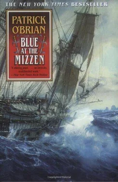 Patrick O'Brian Blue at the Mizzen обложка книги