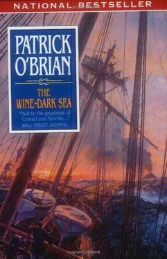 Patrick O'Brian The Wine-Dark Sea обложка книги