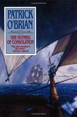 Patrick O'Brian The Nutmeg of Consolation обложка книги