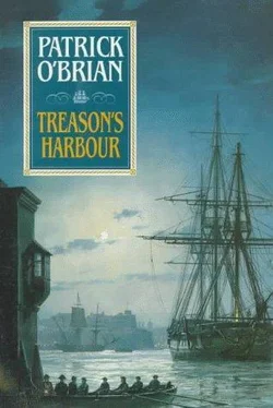 Patrick O'Brian Treason's Harbour обложка книги