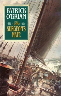 Patrick O'Brian The surgeon's mate обложка книги