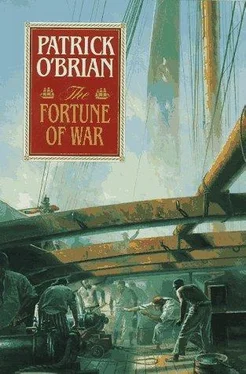 Patrick O'Brian The fortune of war обложка книги