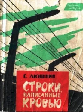 Григорий Люшнин Строки, написанные кровью обложка книги