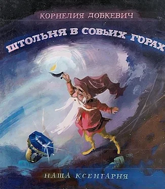 Корнелия Добкевич Штольня в Совьих Горах обложка книги