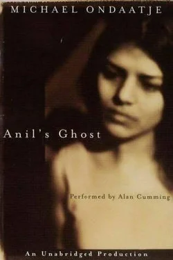 Michael Ondaatje Anil's Ghost обложка книги