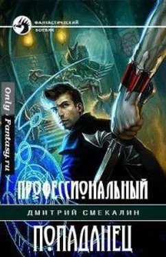 Дмитрий Смекалин Профессиональный попаданец [СИ] обложка книги