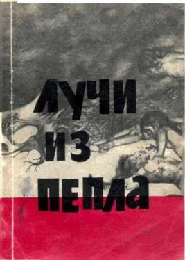 Роберт Юнг Лучи из пепла. обложка книги