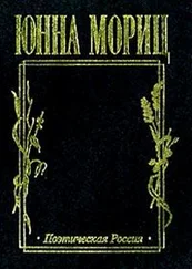 Юнна Мориц - Стихотворения