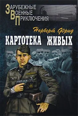 Норберт Фрид Картотека живых обложка книги