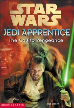 Джуд Уотсон Jedi Apprentice 16: The Call To Vengeance обложка книги