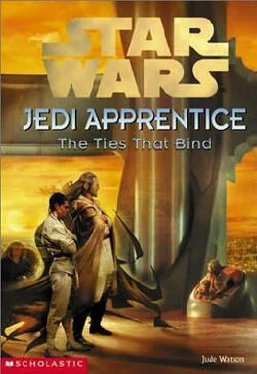 Джуд Уотсон Jedi Apprentice 14: The Ties That Bind обложка книги