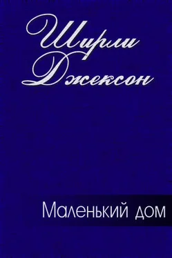 Ширли Джексон Маленький дом обложка книги