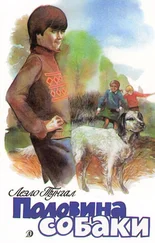 Леэло Тунгал - Половина собаки