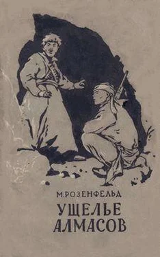 Михаил Розенфельд Ущелье Алмасов обложка книги