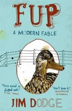 Jim Dodge Fup обложка книги