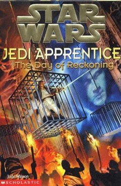 Джуд Уотсон Jedi Apprentice 8: The Day of Reckoning обложка книги