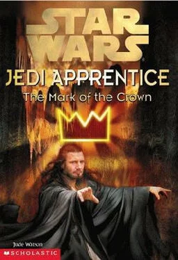 Джуд Уотсон Jedi Apprentice 4: The Mark of the Crown обложка книги