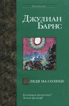 Джулиан Барнс Глядя на солнце обложка книги