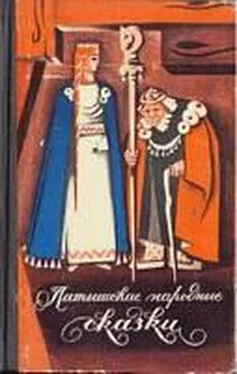 К. Арайс Латышские народные сказки. Избранное. обложка книги