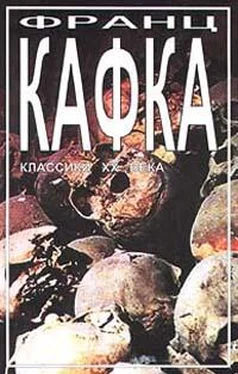 Франц Кафка Первое горе обложка книги