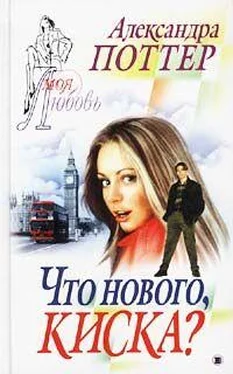 Александра Поттер Что нового, киска? обложка книги