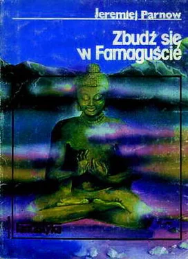 Jeremiej Parnow Zbudź się w Famaguście обложка книги