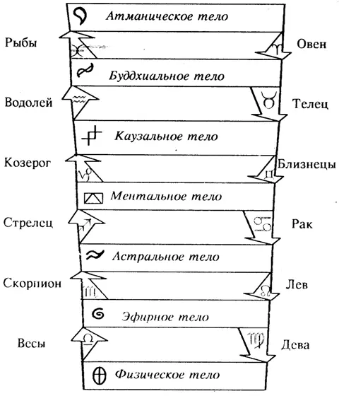 Рис 1 Алхимическая схема тонкие тела и основные потоки организма б - фото 1