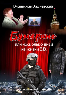 Владислав Вишневский Бумеранг, или Несколько дней из жизни В.В. обложка книги