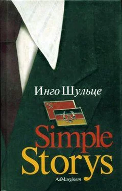 Инго Шульце Simple Storys обложка книги