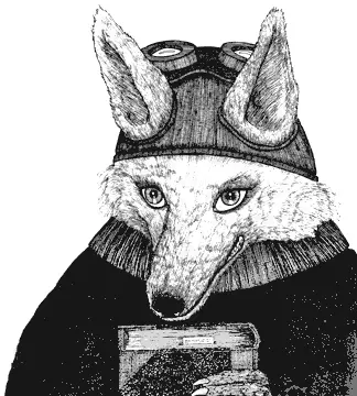 В следующей главе своей книги Дождесвет во всех подробностях описывал как он - фото 27