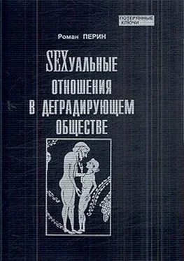 Роман Перин SEXсуальные отношения в деградирующем обществе обложка книги