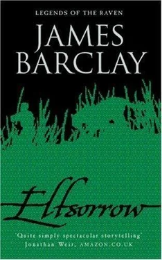 James Barclay Elfsorrow обложка книги