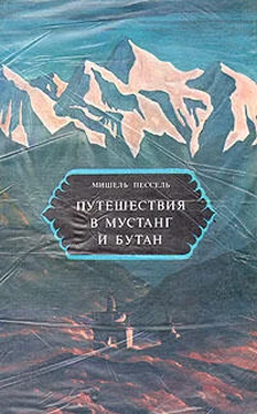 Мишель Пессель Путешествия в Мустанг и Бутан обложка книги