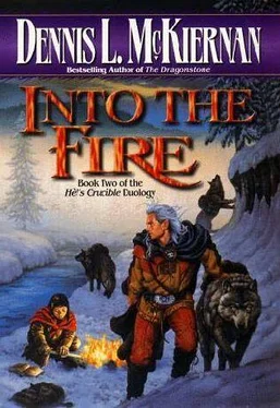 Dennis McKiernan Into the fire обложка книги