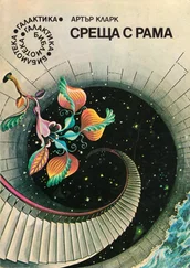 Артър Кларк - Среща с Рама