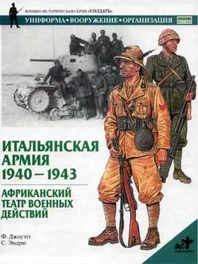 Филип Джоуэтт Итальянская армия. 1940–1943. Африканский театр военных действий обложка книги