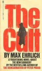 Макс Эрлих - Секта