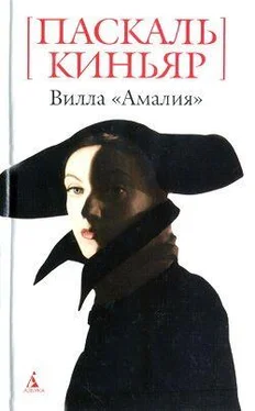 Паскаль Киньяр Вилла «Амалия» обложка книги