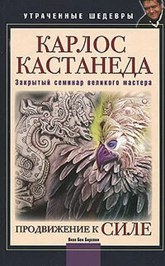 Яков Бирсави Карлос Кастанеда. Закрытый семинар великого мастера. Продвижение к Силе обложка книги