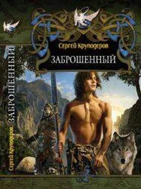 Сергей Круподеров Заброшенный обложка книги