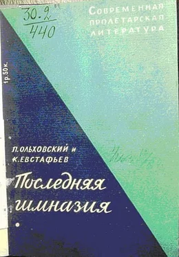 Павел Ольховский Последняя гимназия обложка книги