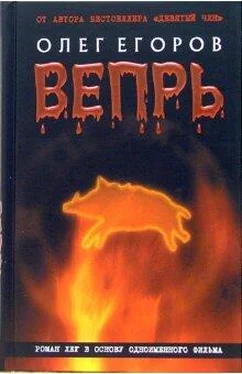 Олег Егоров Вепрь обложка книги